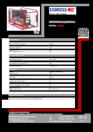 Grupos electrógenos, gasolina Endress ESE 704 SHS-AC / 60-200 A 