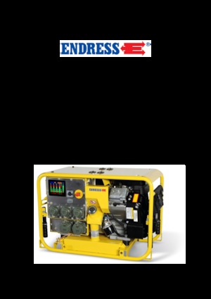 Grupos electrógenos, gasolina Endress ESE 904 DBG ES DIN