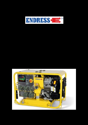 Grupos electrógenos, gasolina Endress ESE 904 DBG ES DIN
