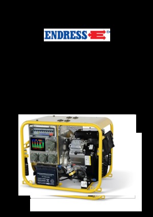 Grupos electrógenos, gasolina Endress ESE 954 DBG ES DIN
