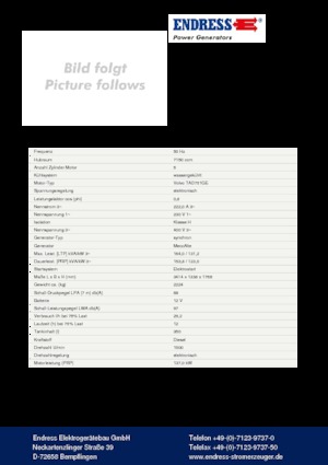 Grupos electrógenos diesel Endress ESE 165 VW/AS