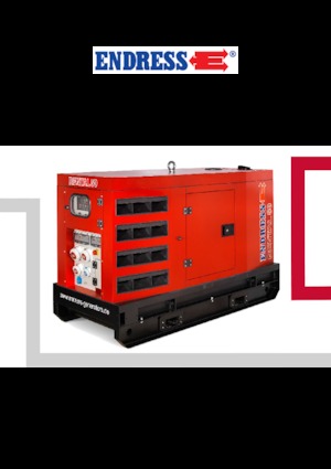 Grupos electrógenos diesel Endress ESE 45 YW/RS