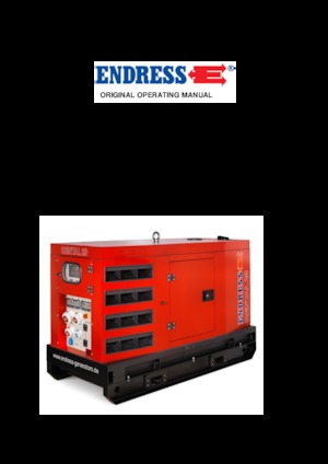 Grupos electrógenos diesel Endress ESE 45 YW/RS