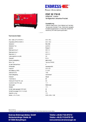 Grupos electrógenos diesel Endress ESE 30 YW-B