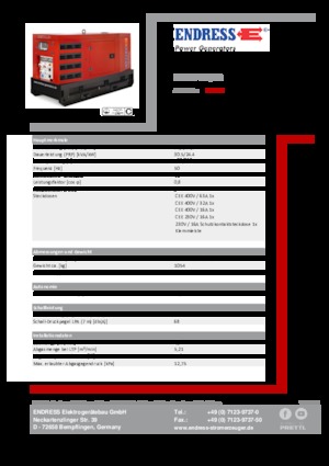 Grupos electrógenos diesel Endress ESE 30 YW/RS
