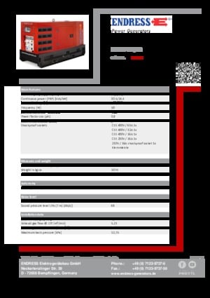 Grupos electrógenos diesel Endress ESE 35 YW/RS