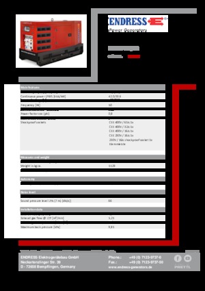 Grupos electrógenos diesel Endress ESE 45 YW/RS