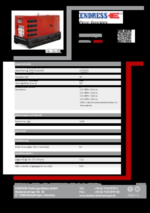 Grupos electrógenos diesel Endress ESE 50 YW/RS