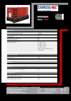 Grupos electrógenos diesel Endress ESE 50 YW/RS