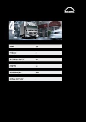 Chasis rígido MAN TGL 8.250 4x2