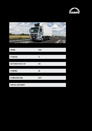 Chasis rígido MAN TGM 15.250 4x2