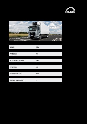 Chasis rígido MAN TGM 18.250 4x4