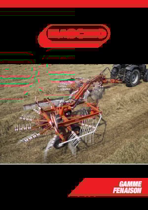 Rastrillos rotativos Maschio Golia Pro 300 / ST