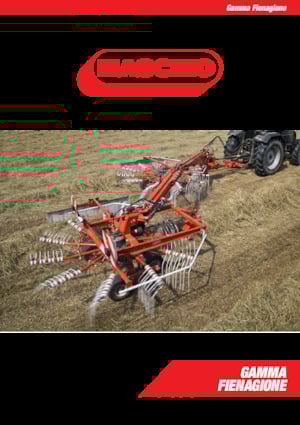 Rastrillos rotativos Maschio Golia Pro 300 / ST