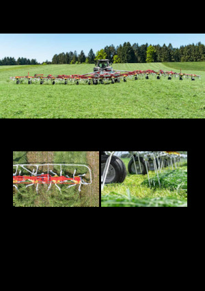 Rastrillos henificadores Pöttinger AlpinHit 4.4 H 