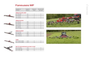 Rastrillos henificadores Massey Ferguson TD776X DN