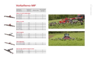 Rastrillos henificadores Massey Ferguson TD776X DN