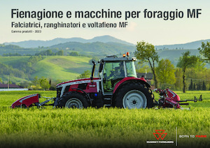 Rastrillos henificadores Massey Ferguson TD404 DN
