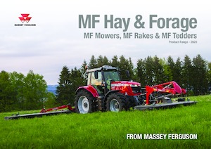 Rastrillos henificadores Massey Ferguson TD434 DN