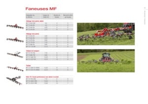Rastrillos henificadores Massey Ferguson TD434 DN