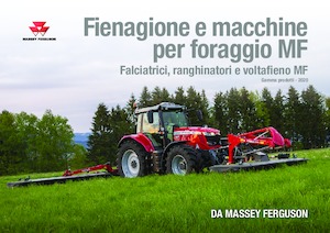 Rastrillos henificadores Massey Ferguson TD434 DN
