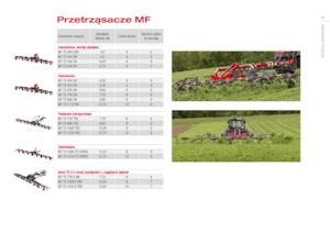 Rastrillos henificadores Massey Ferguson TD776X DN