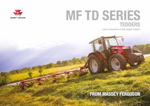 Rastrillos henificadores Massey Ferguson TD676 DN