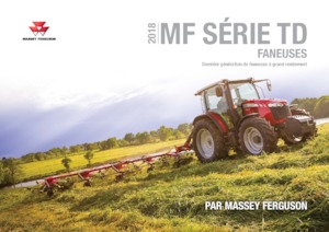 Rastrillos henificadores Massey Ferguson TD676 DN