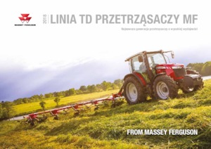 Rastrillos henificadores Massey Ferguson TD676 DN