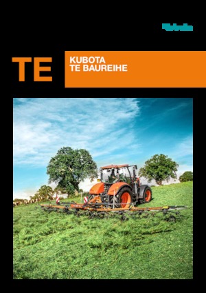 Rastrillos henificadores Kubota TE10511C