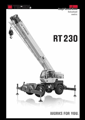 Grúas  RT TEREX CRANES RT 230