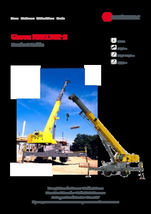 Grúas  RT Grove RT9130E-2