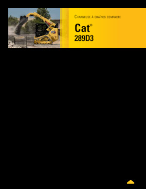 Minicargadoras Caterpillar 289D Serie 3 Deltalader