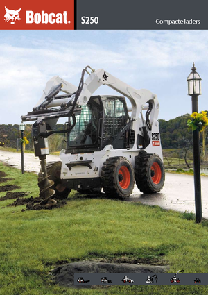 Minicargadoras Bobcat S 250