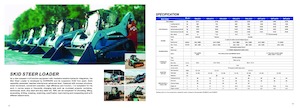 Minicargadoras Sunward SWTL 4210
