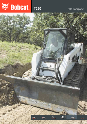 Minicargadoras Bobcat T 250 ACS