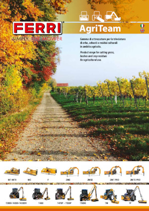 Desbrozadoras para taludes Ferri TP 600