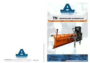 Quitanieves de muelle Assaloni TN 25