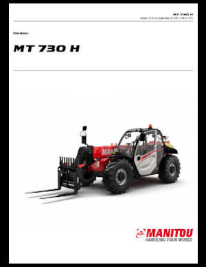 Manipuladoras telescópicas Manitou MT 730 H 75 K Standard (STV)