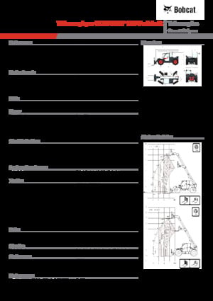 Manipuladoras telescópicas Bobcat TL38.70HF 135 V