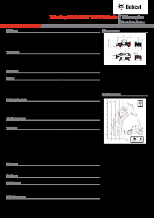 Manipuladoras telescópicas Bobcat TL43.80HF 135 V