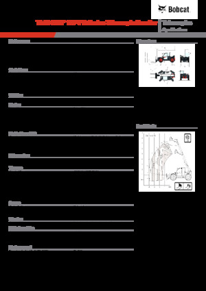Manipuladoras telescópicas Bobcat TL43.80HF 135 V