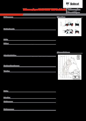 Manipuladoras telescópicas Bobcat TL43.80HF 135 V