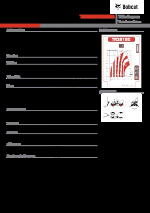 Manipuladoras telescópicas con vehículo superpuesto Bobcat TR38160EVO IIIB