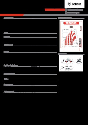 Manipuladoras telescópicas con vehículo superpuesto Bobcat TR38160EVO IIIB