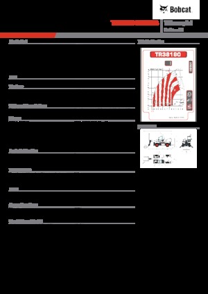 Manipuladoras telescópicas con vehículo superpuesto Bobcat TR38160EVO IIIB
