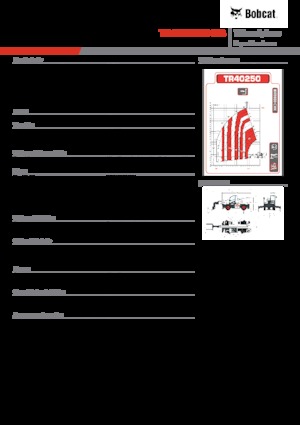 Manipuladoras telescópicas con vehículo superpuesto Bobcat TR40250EVO IIIB