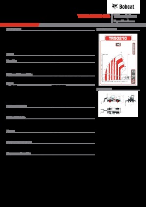 Manipuladoras telescópicas con vehículo superpuesto Bobcat TR50210EVO IIIB