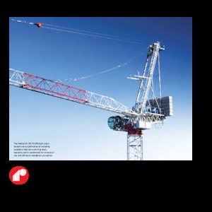 Grúas torre con pluma rotativa Raimondi LR273