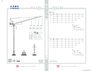 Grúas torre con pluma rotativa Yongmao STL120
